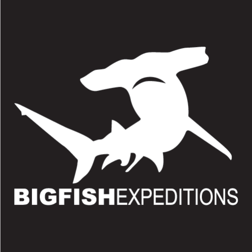 www.bigfishexpeditions.com