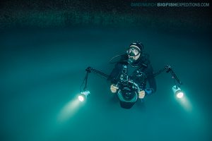 Diver in Angelita Cenote