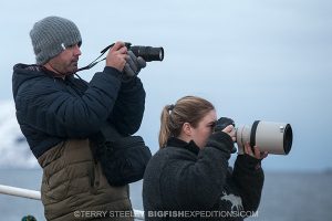 Photographing orcas in Norway