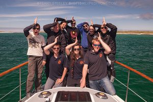 Happy basking shark divers