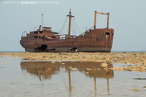 Ithaca wreck