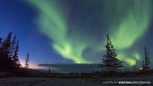 Northern Lights in Churchill