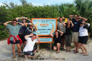 Big Fish Expeditions Hammerhead Diving