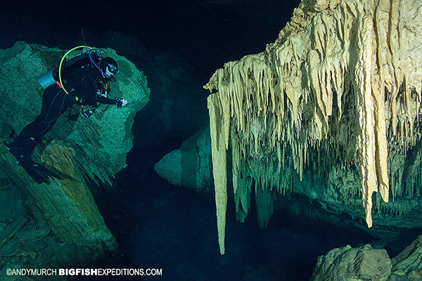 Cenote diving