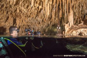 Diving in Chakmool Cenote