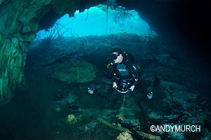 Cenote Diving
