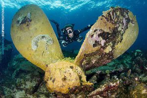 Wreck diving