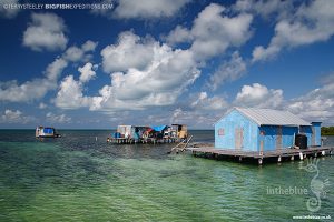 The Hotel Chinchorro