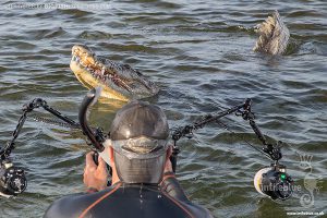 Photographing crocodiles at Banco Chinchorro