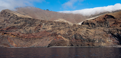 Guadalupe Island Diving