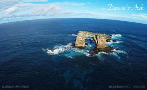 Galapagos diving Darwins Arch