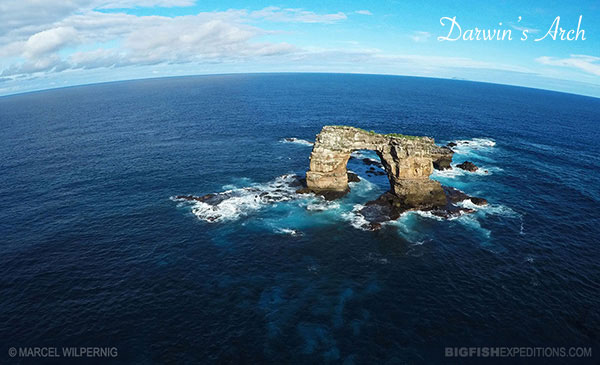 Galapagos diving Darwins Arch