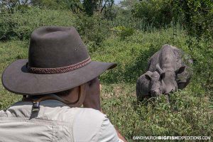 Walking with rhinos uganda