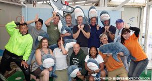 Japanese shark diving safari 2017