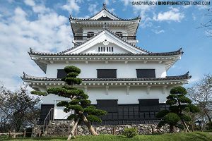 Japanese Castle in Tateyama