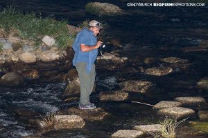 Searching for Giant Salamanders