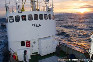 Sula - Norwegian Killer Whale Expedition Ship