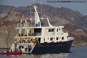 Rocio del Mar liveaboard in the sea of cortez