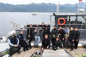 Salmon shark diving group