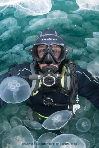 Selfie in the moon jellies