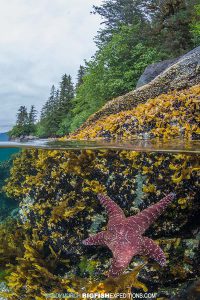 Dive site in Alaska