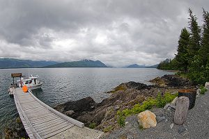 Salmon shark trip 2014