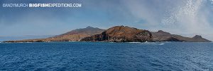 Socorro island manta dive