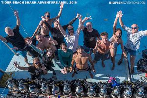 Tiger Beach Shark Diving