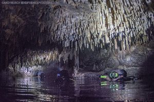 Stalactites in Chak Mool Cenote. Cavern Diving