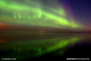 Aurora borealis in Churchill, Canada