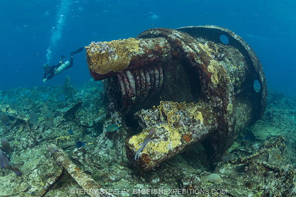 Diving the wreck of the Ginger Scout