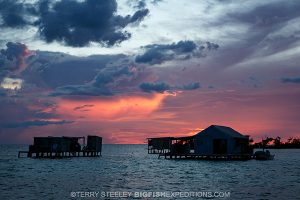 Sunset on our 2016 American crocodile diving trip