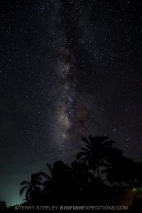 Beautifully lit night sky in Mexico. Milky Way.