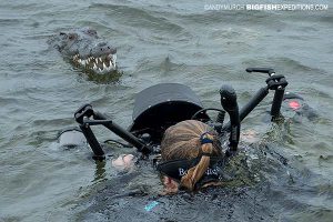 Diving with Ameican crocodiles in Chinchorro, Mexico