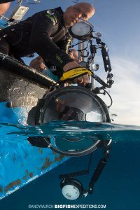 shooting split frame images underwater