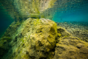 Loch Low-Minn Quarry by Jennifer Idol