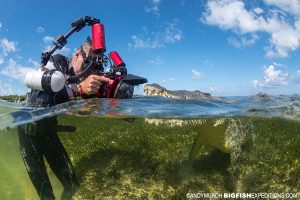 Photographing American crocodiles in Chinchorro Atoll, Mexico.