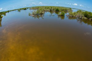 The lagoon in Cayo Grande, Chinchorro.