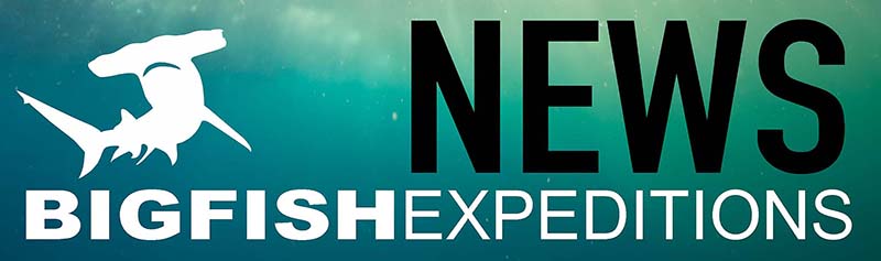 Big Fish Expeditions News