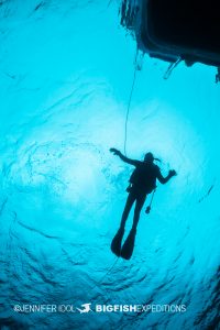 Diver descending