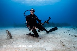 Diver looking up from reef