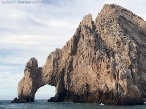 Snorkeling with Makos near Cabo Arch.