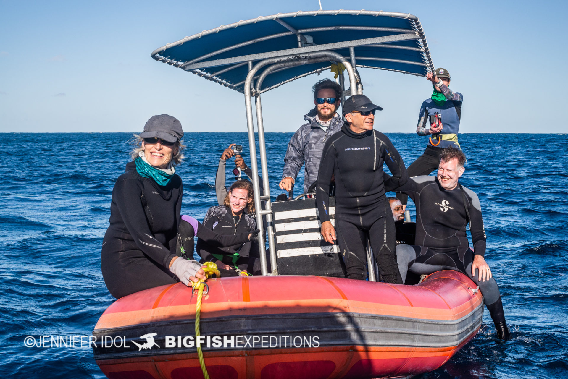 Guests looking for whales