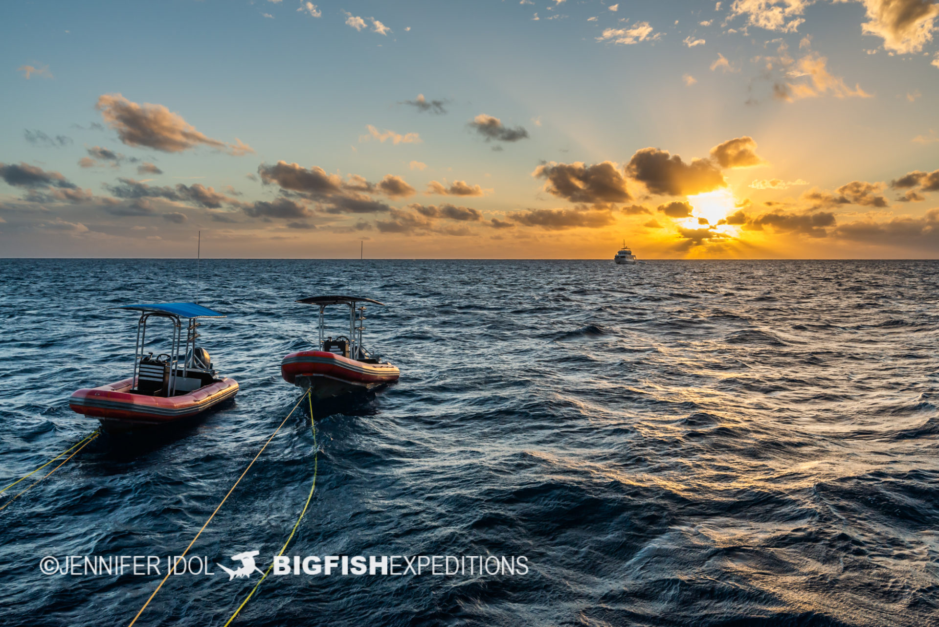 Sunset with the tenders