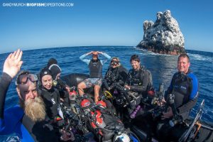 Shark diving at Roca Partida in Socorro.