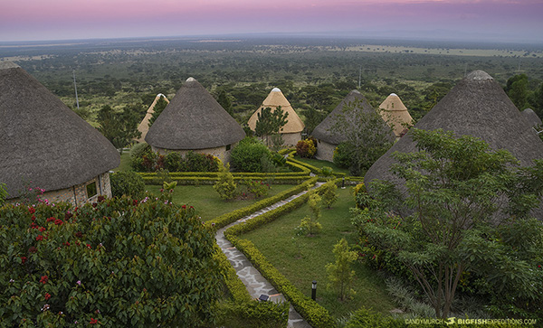 Lodge in Queen Elizabeth National Park