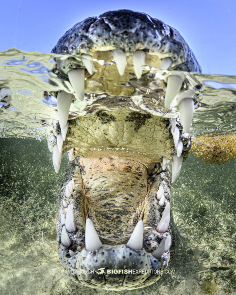 My Image 34