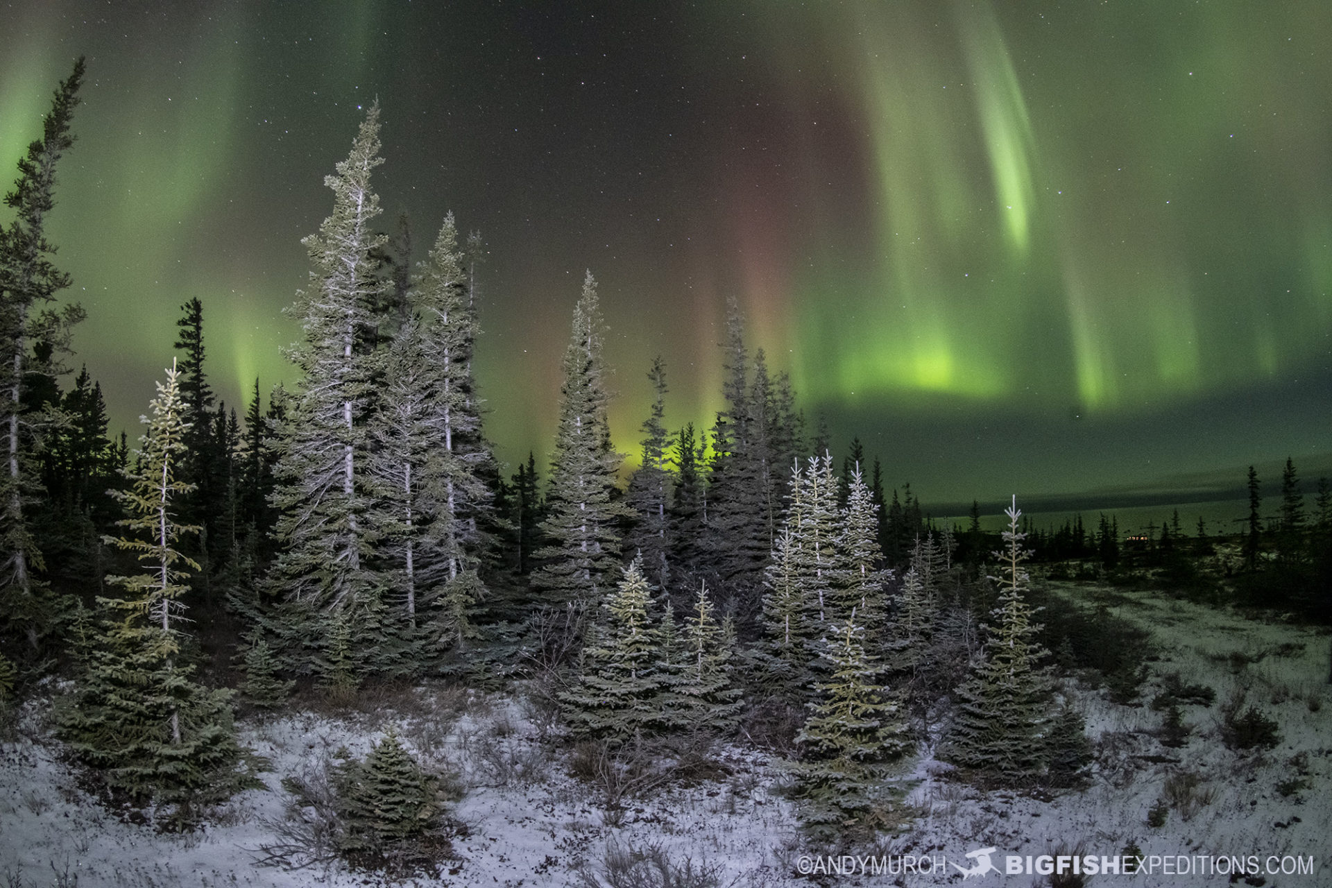 Photographing Northern Lights in Churchill