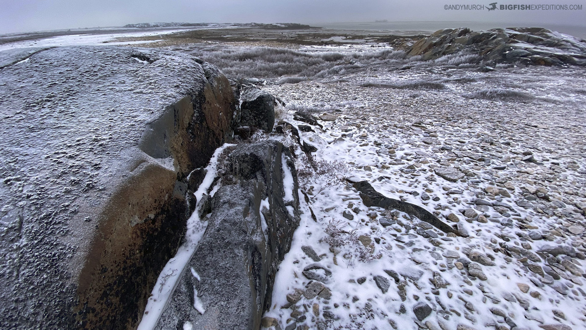 Canadian Tundra near Churchill