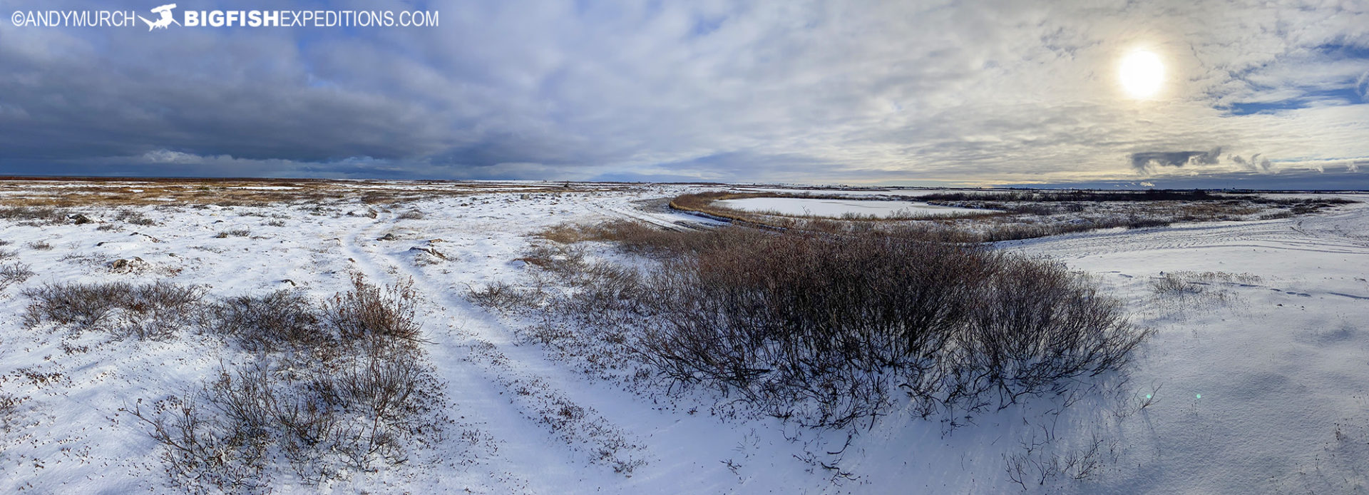 Canadian Tundra November 2021